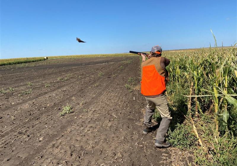 0db1db79-d6ab-4175-88d4-3fd048b47311